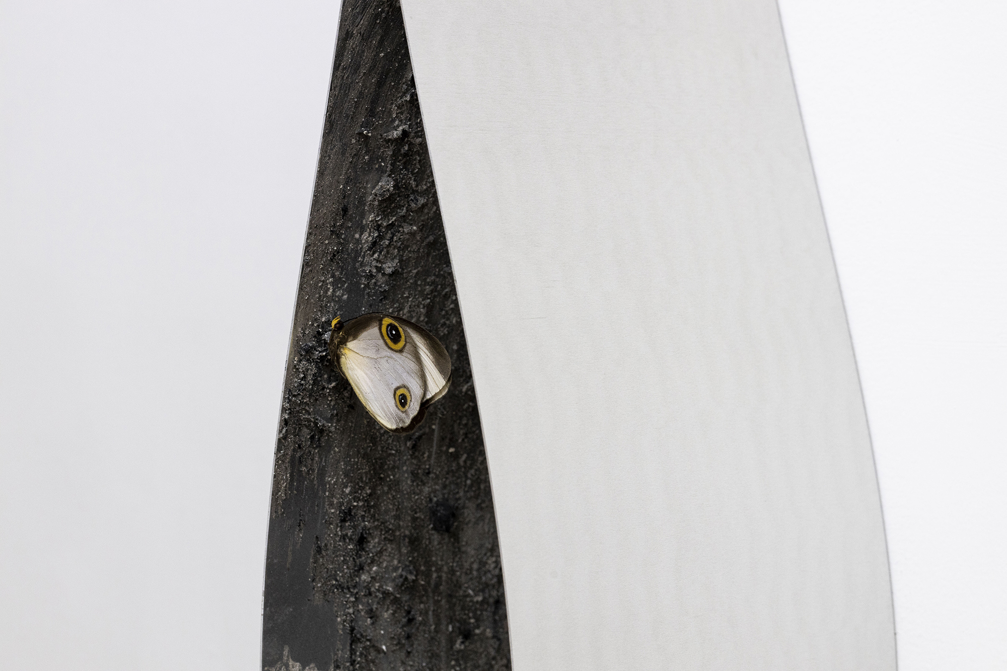 2022 02 Intelleaks, NASL, Mexico City — Marie Matusz Millennial Clock 01 — Jeronim Horvat